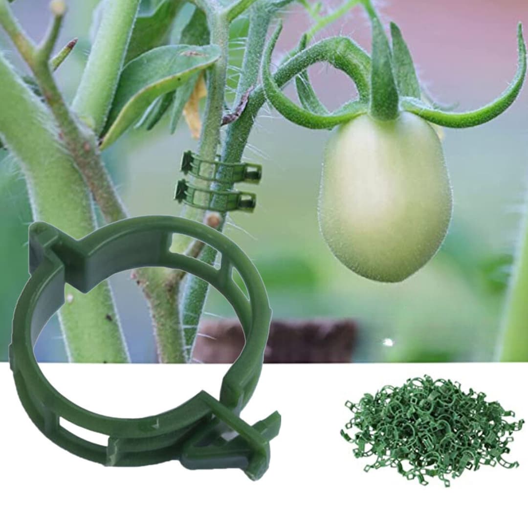 Łodyga Fix - Wielofunkcyjne klipsy ogrodowe